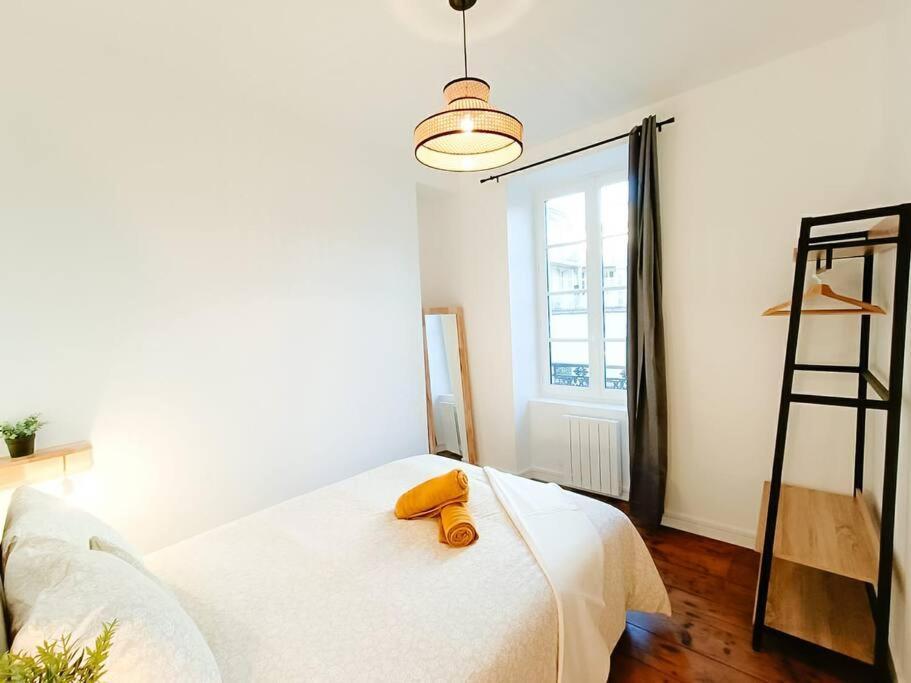 Cosy Calypso 2Ch - Quartier Des Halles & Parking Pau Ngoại thất bức ảnh